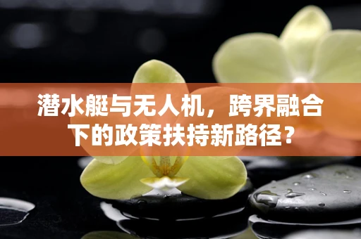 潜水艇与无人机，跨界融合下的政策扶持新路径？