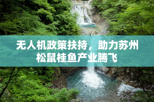 无人机政策扶持，助力苏州松鼠桂鱼产业腾飞