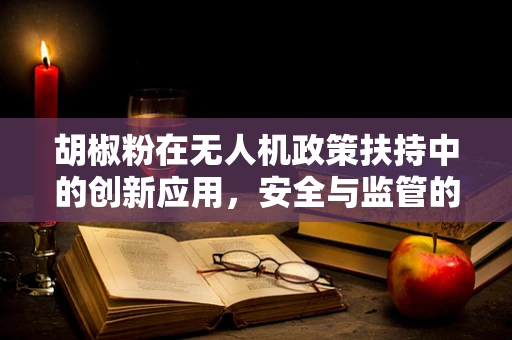 胡椒粉在无人机政策扶持中的创新应用，安全与监管的新篇章？