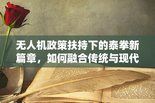 无人机政策扶持下的泰拳新篇章，如何融合传统与现代飞行技术？