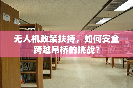 无人机政策扶持，如何安全跨越吊桥的挑战？