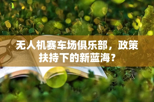 无人机赛车场俱乐部，政策扶持下的新蓝海？