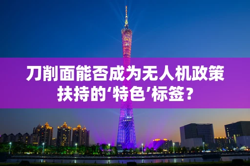 刀削面能否成为无人机政策扶持的‘特色’标签？
