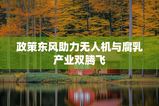 政策东风助力无人机与腐乳产业双腾飞