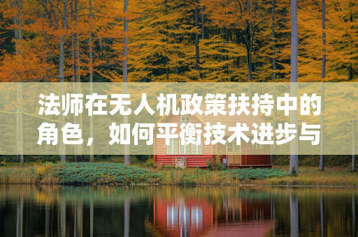法师在无人机政策扶持中的角色，如何平衡技术进步与法规遵从？