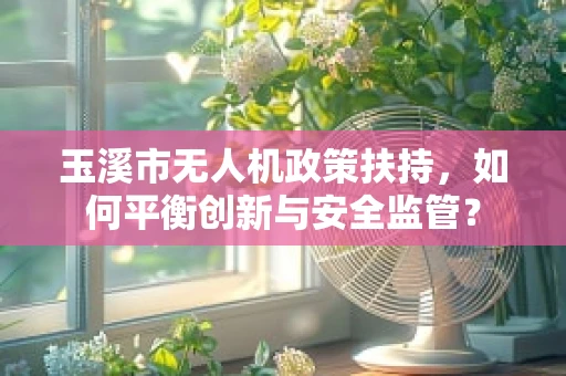 玉溪市无人机政策扶持，如何平衡创新与安全监管？