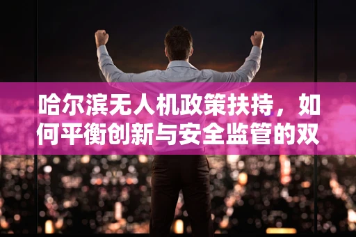哈尔滨无人机政策扶持，如何平衡创新与安全监管的双重挑战？