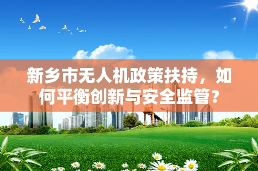 新乡市无人机政策扶持，如何平衡创新与安全监管？