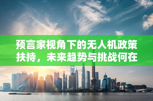 预言家视角下的无人机政策扶持，未来趋势与挑战何在？