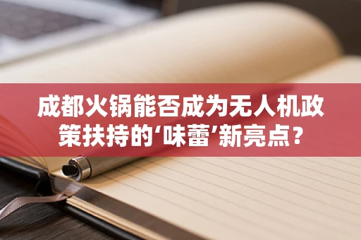 成都火锅能否成为无人机政策扶持的‘味蕾’新亮点？