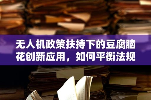 无人机政策扶持下的豆腐脑花创新应用，如何平衡法规与创意？