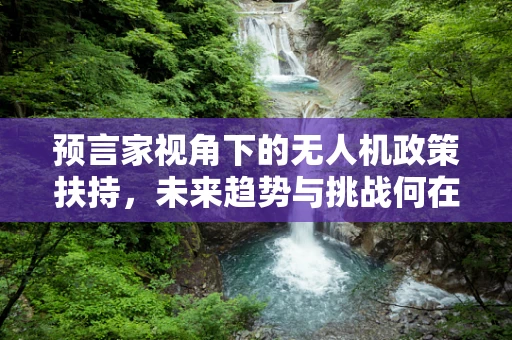 预言家视角下的无人机政策扶持，未来趋势与挑战何在？