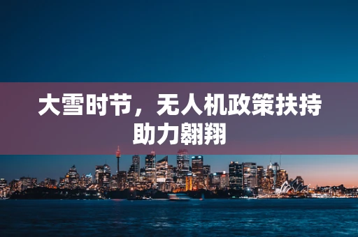 大雪时节，无人机政策扶持助力翱翔