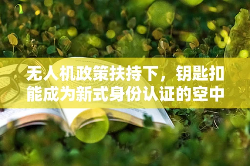 无人机政策扶持下，钥匙扣能成为新式身份认证的空中钥匙吗？