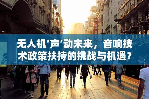 无人机‘声’动未来，音响技术政策扶持的挑战与机遇？
