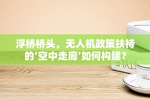 浮桥桥头，无人机政策扶持的‘空中走廊’如何构建？