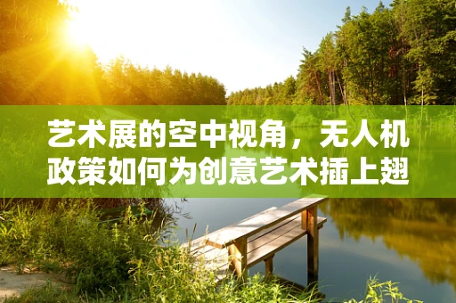 艺术展的空中视角，无人机政策如何为创意艺术插上翅膀？
