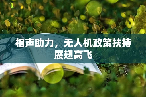 相声助力，无人机政策扶持展翅高飞