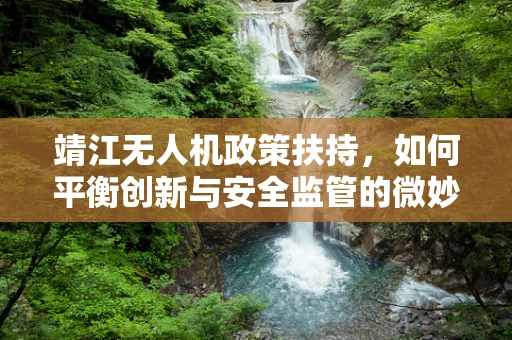 靖江无人机政策扶持，如何平衡创新与安全监管的微妙平衡？