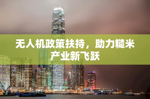 无人机政策扶持，助力糙米产业新飞跃