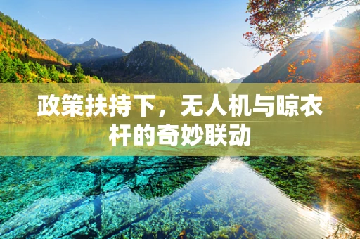 政策扶持下，无人机与晾衣杆的奇妙联动
