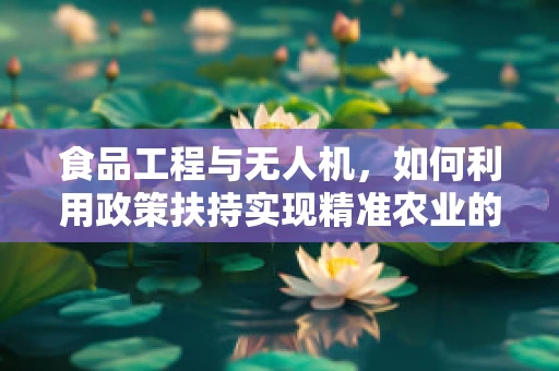 食品工程与无人机，如何利用政策扶持实现精准农业的飞跃？