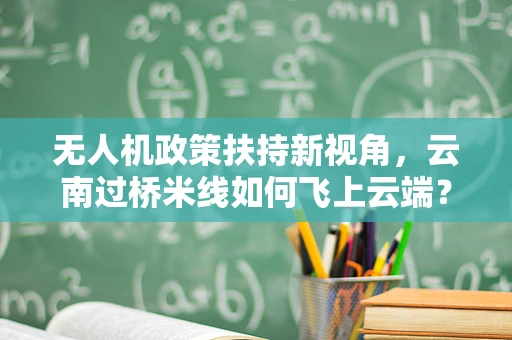无人机政策扶持新视角，云南过桥米线如何飞上云端？