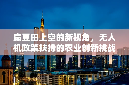 扁豆田上空的新视角，无人机政策扶持的农业创新挑战
