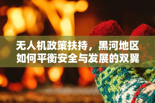 无人机政策扶持，黑河地区如何平衡安全与发展的双翼？