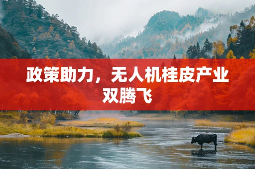 政策助力，无人机桂皮产业双腾飞