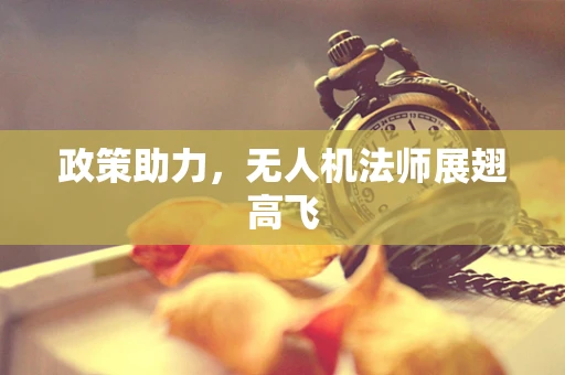 政策助力，无人机法师展翅高飞