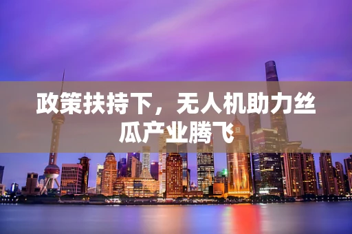 政策扶持下，无人机助力丝瓜产业腾飞