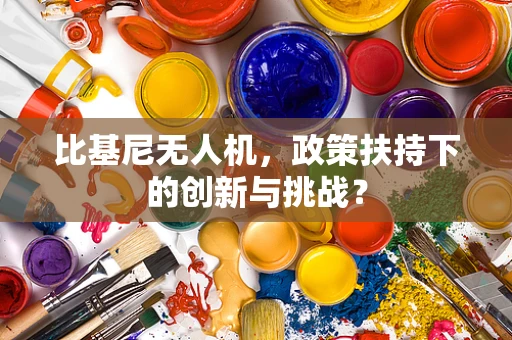 比基尼无人机，政策扶持下的创新与挑战？