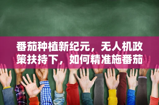番茄种植新纪元，无人机政策扶持下，如何精准施番茄于田？