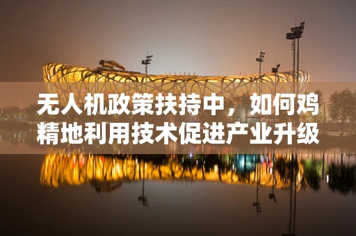 无人机政策扶持中，如何鸡精地利用技术促进产业升级？