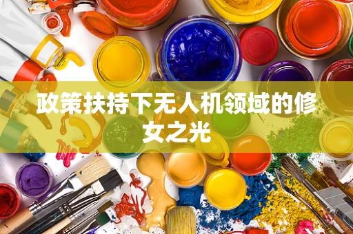 政策扶持下无人机领域的修女之光