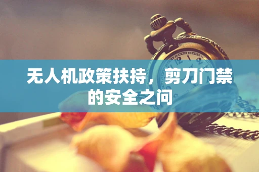 无人机政策扶持，剪刀门禁的安全之问