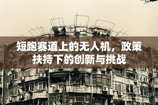 短跑赛道上的无人机，政策扶持下的创新与挑战