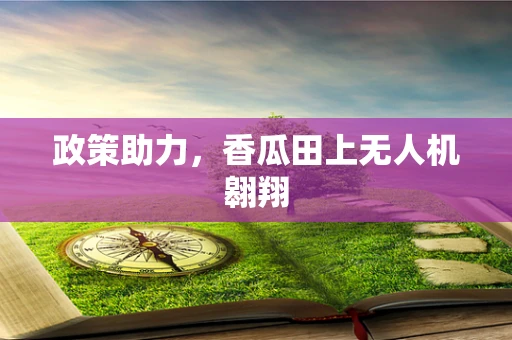 政策助力，香瓜田上无人机翱翔