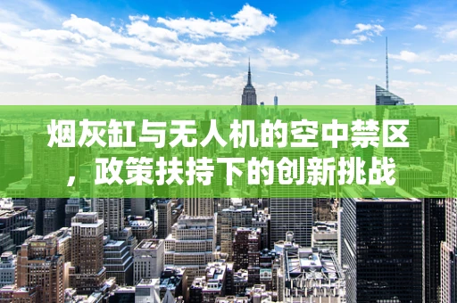 烟灰缸与无人机的空中禁区，政策扶持下的创新挑战