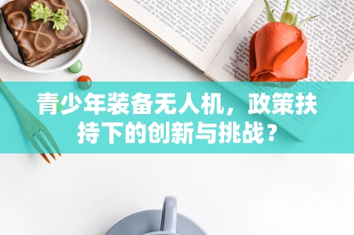 青少年装备无人机，政策扶持下的创新与挑战？