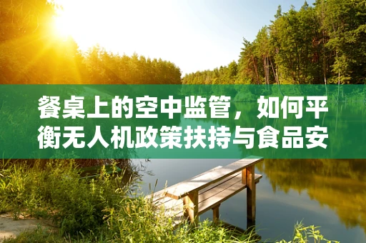 餐桌上的空中监管，如何平衡无人机政策扶持与食品安全？