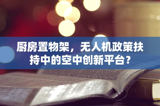厨房置物架，无人机政策扶持中的空中创新平台？