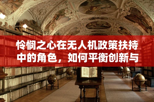 怜悯之心在无人机政策扶持中的角色，如何平衡创新与安全？