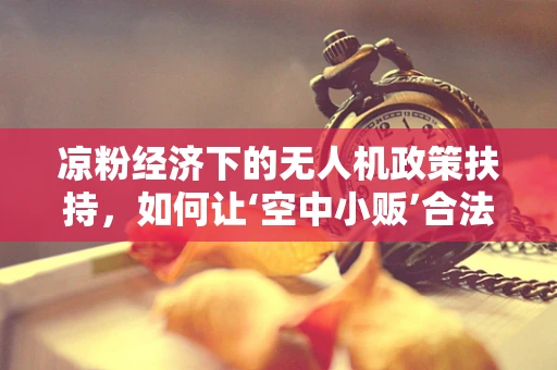 凉粉经济下的无人机政策扶持，如何让‘空中小贩’合法飞翔？