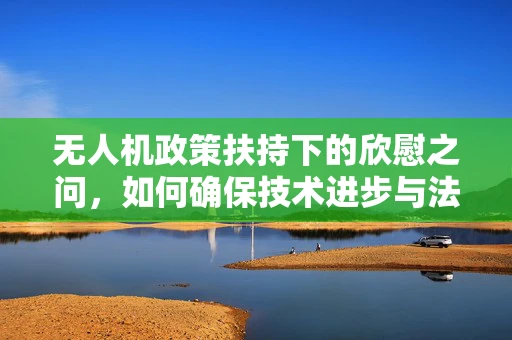 无人机政策扶持下的欣慰之问，如何确保技术进步与法规同步？
