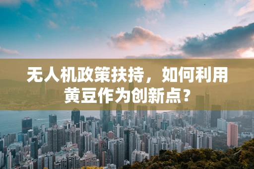 无人机政策扶持，如何利用黄豆作为创新点？