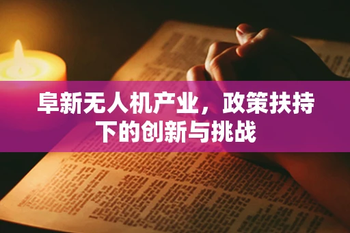 阜新无人机产业，政策扶持下的创新与挑战