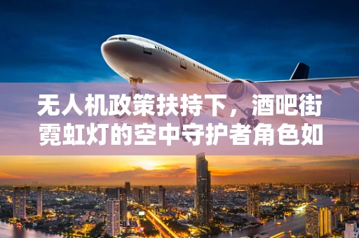 无人机政策扶持下，酒吧街霓虹灯的空中守护者角色如何界定？