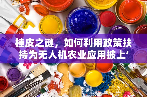 桂皮之谜，如何利用政策扶持为无人机农业应用披上‘香料’外衣？